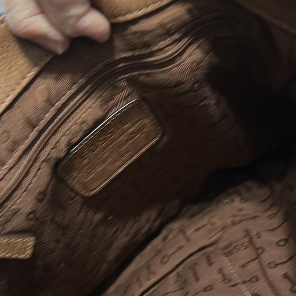 Fossil - Picture 7 of 7